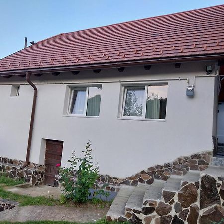 브라쇼브 Casa Schei 빌라 외부 사진