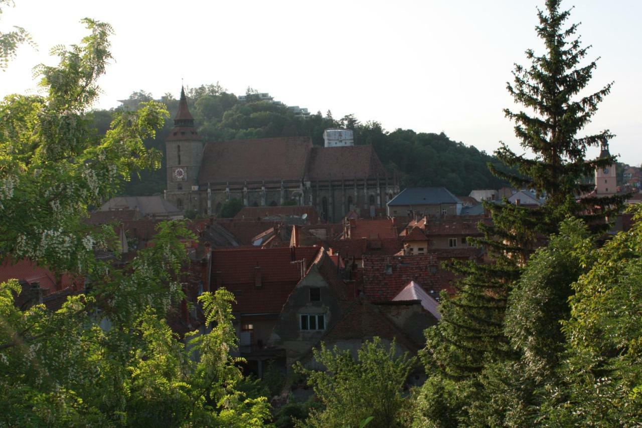 브라쇼브 Casa Schei 빌라 외부 사진